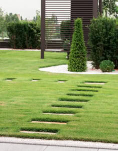 Beautiful modern garden with lush greenery and stepping stone pathway.